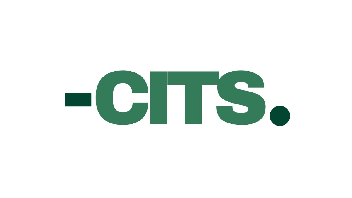 CITS Ltd: Building Scalable Solutions in a Rapidly Evolving Digital Economy